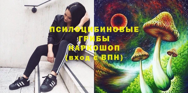 ПСИЛОЦИБИНОВЫЕ ГРИБЫ Алзамай