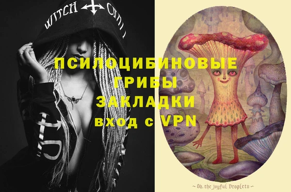 a pvp Алексин