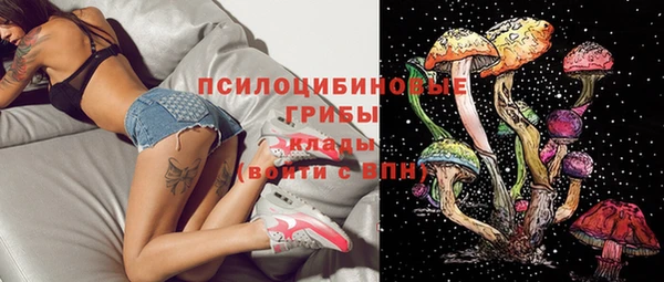 ПСИЛОЦИБИНОВЫЕ ГРИБЫ Алзамай