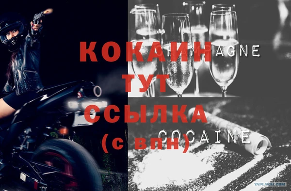 ПСИЛОЦИБИНОВЫЕ ГРИБЫ Алзамай